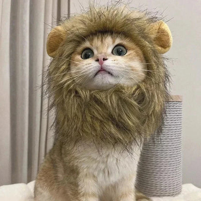 Halloween's Cutest Predator