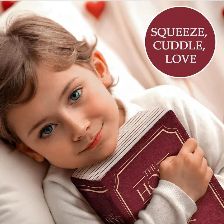 Guardian Bible Pillow 👼🏻