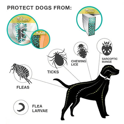 Pawtters™ - 8 months free of fleas and parasites!